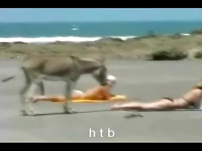 مربی تناسب اندام به زدن یک بیدمشک جوان فیلم ممه خوردن پایان داد