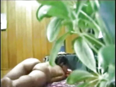 دختر سبزه ناز هزینه ای برای سوار داستان سکسی ممه شدن با گربه اش می پردازد